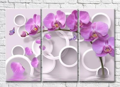 Триптих Ветка фиолетовой орхидеи на фоне кругов 3D7941 фото