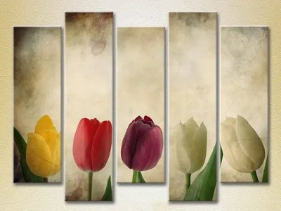 Модульные картины Разноцветные тюльпаны_01 TSv7091 фото