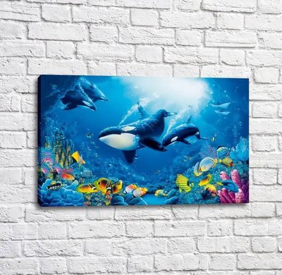 Poster Mici pești colorați pe fundalul unor balene ucigașe uriașe Mul16311 фото