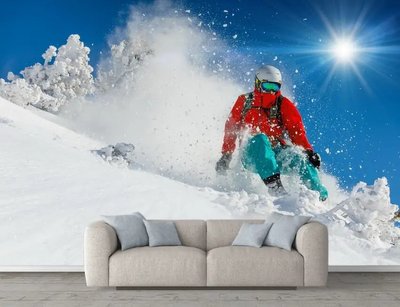 Спортсмен на лыжах на фоне неба Spo2968 фото