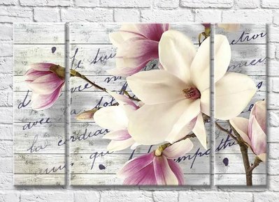 Triptic Ramă de magnolie pe un fundal de tablă cu inscripții 3D7819 фото