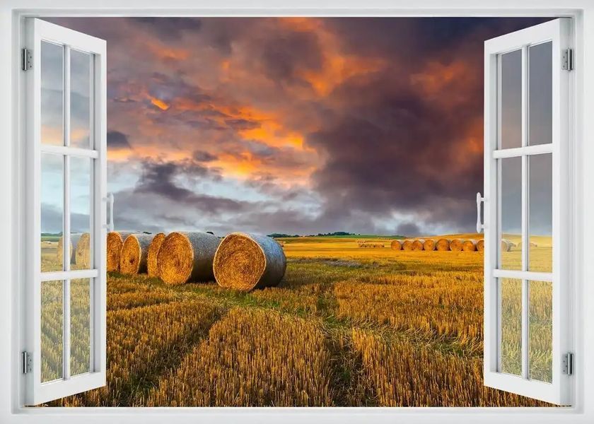 Наклейка на стену, 3D-окно с видом на закат в поле пшеницы W113 фото