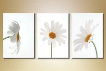 Tablouri modulare Daisies_03 TSv7620 фото