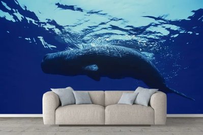 Fototapet Balena mare înoată sub apă Pod2320 фото