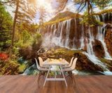 Фотообои - "Зеленый лес на фоне водопада в Китае" Vod4522 фото