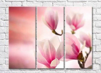 Triptic Magnolia roz pe fond roz TSv8072 фото
