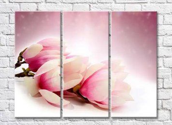 Triptic Magnolia roz pe fundal alb TSv8073 фото