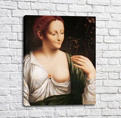 Pictura Colombina, Da Vinci Leo14274 фото