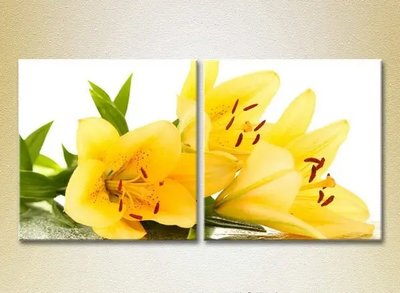 Модульные картины Желтые лилии TSv6724 фото