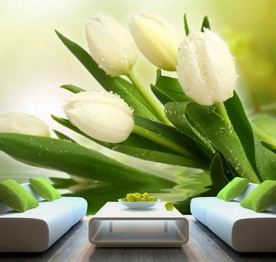 Букет белых тюльпанов и капли воды на цветах TSv974 фото