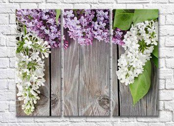 Liliac pe un fundal gri TSv5775 фото
