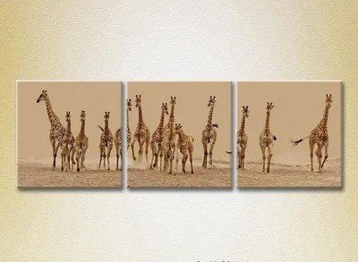 Модульные картины Стадо жирафов ZHi10475 фото