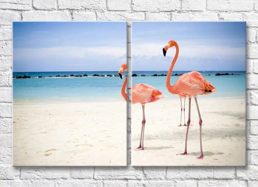 Diptic Pereche de flamingo pe fundalul plajei, foto ZHi9675 фото