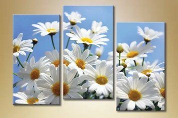 Tablouri modulare Daisies_04 TSv7626 фото