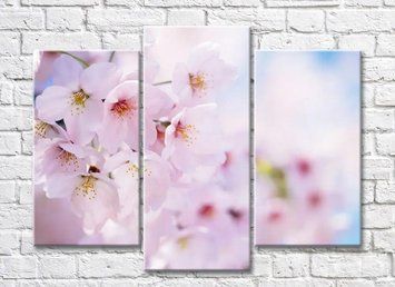 Триптих из фруктовых цветов TSv5726 фото