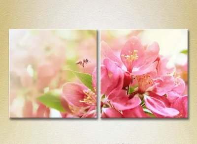 Tablouri modulare Pear blossom and bee_02 TSv6676 фото