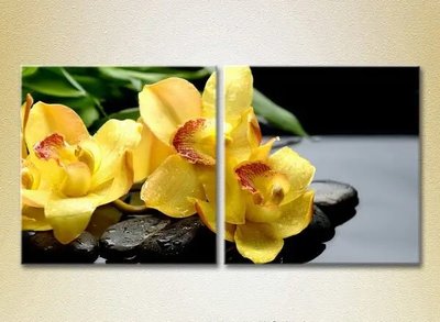 Модульные картины Желтые орхидеи на камнях_01 TSv6726 фото