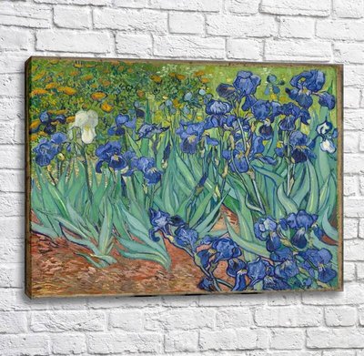Pictură Irisuri de Vincent van Gogh Van11576 фото