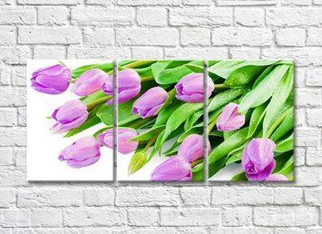 Lalele liliac și frunze verzi TSv5777 фото