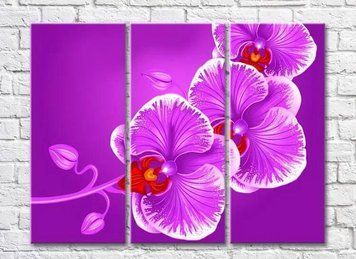 Triptic Arhidee violet pe fond violet TSv8077 фото