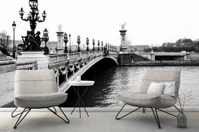 Фотообои Парижский мост в черно белом стиле Ark2327 фото