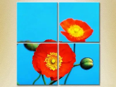 Imagini modulare Blossoming poppy_01 TSv7992 фото