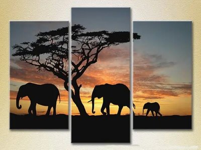 Tablouri modulare Elefanți apus de soare în Africa ZHi10528 фото