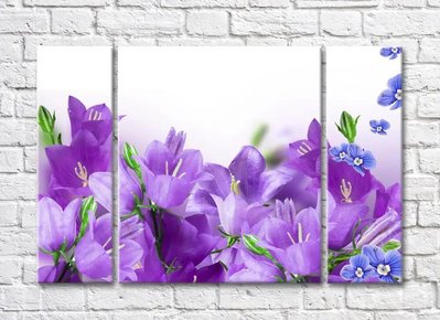 Сиреневые колокольчики и синие цветочки на белом фоне TSv5780 фото