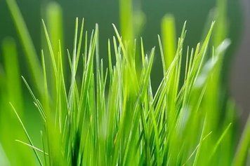 Fototapet - "Natura si peisaje_24" Pri4381 фото