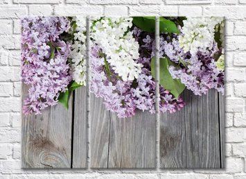 Liliac și flori albe de liliac pe un fundal de tablă TSv5781 фото