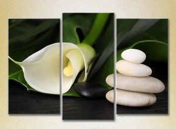 Tablouri modulare Callas albe_01 TSv9731 фото