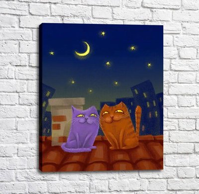 Poster Pisici pe acoperiș într-o noapte înstelată Kot17059 фото