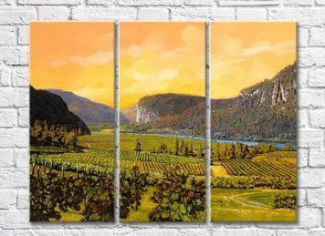 Triptic Vineyards In The Hills 012_1 Pro10232 фото