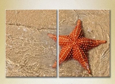 Модульные картины Морская звезда на берегу_01 Mor7882 фото