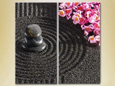 Tablouri modulare Orhidee și pietre de masaj TSv6732 фото