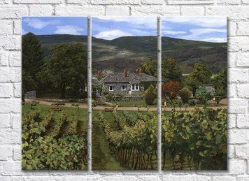 Triptic Vineyards In The Hills 010_1 Pro10233 фото