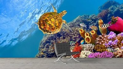 Фотообои Черепаха и разноцветные рыбки среди кораллов Pod2284 фото