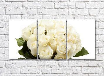 Buchet de trandafiri albi pe un fundal alb TSv6335 фото