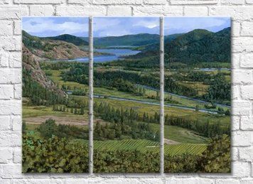 Triptic Vineyards In The Hills 003_1 Pro10235 фото