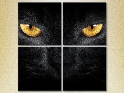 Модульные картины Глаза черной кошки_02 ZHi9285 фото