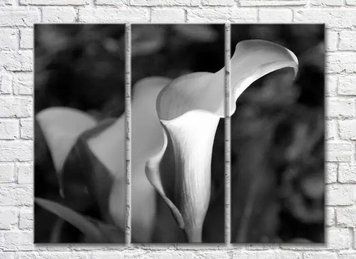 Triptic Callas alb-negru TSv8086 фото