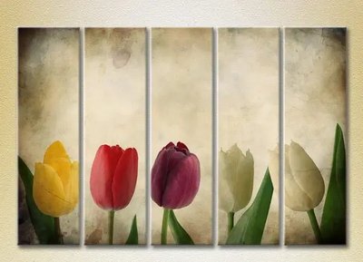 Модульные картины Разноцветные тюльпаны_03 TSv7086 фото