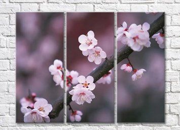 Ramura Sakura cu flori mici TSv6237 фото