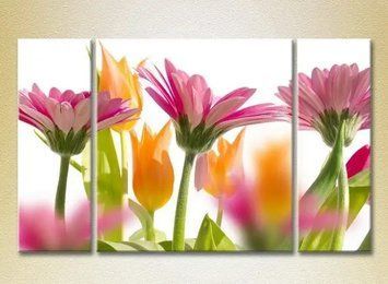 Picturi Modulare Gerbera TSv9737 фото