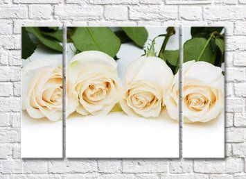 Триптих из кремовых роз TSv5743 фото