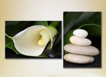 Tablouri modulare Callas albe_01 TSv6743 фото
