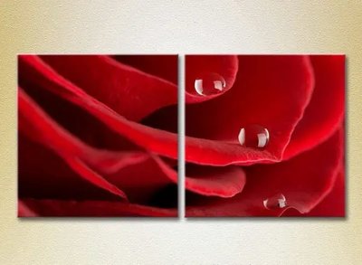 Tablouri modulare Picături pe un trandafir roșu_02 TSv10743 фото