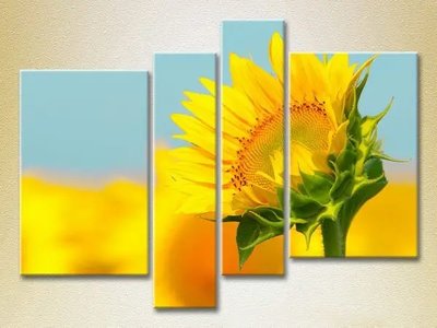 Tablouri modulare Floarea soarelui_01 TSv7988 фото