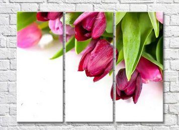 Triptic Buchet de lalele mov pe fundal alb TSv8044 фото