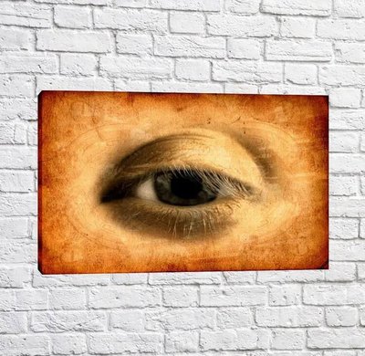 Картина Eye, Leonardo da Vinci Leo14145 фото